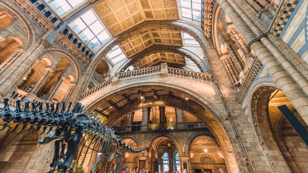 CADS measured building survey and Storeview® for Natural History Museum