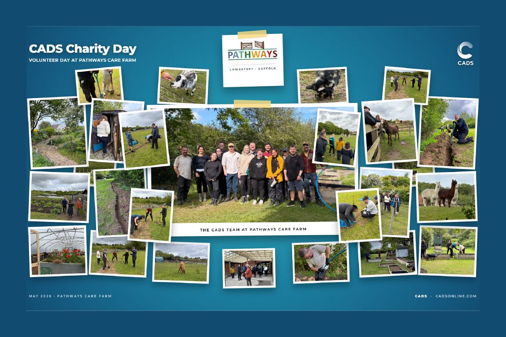 CADS Corproate Volunteering at Pathways Care Farm